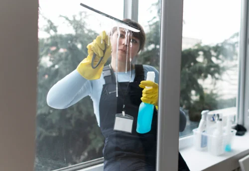Nettoyage de vitres intérieures et extérieures à la Haye